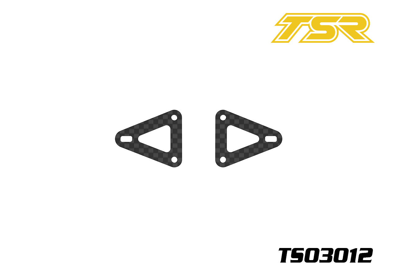 2909 TS03012 Carbon Fiber Front swing arm plate